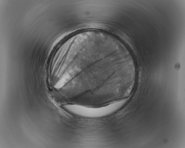 X0000111581024200908271030