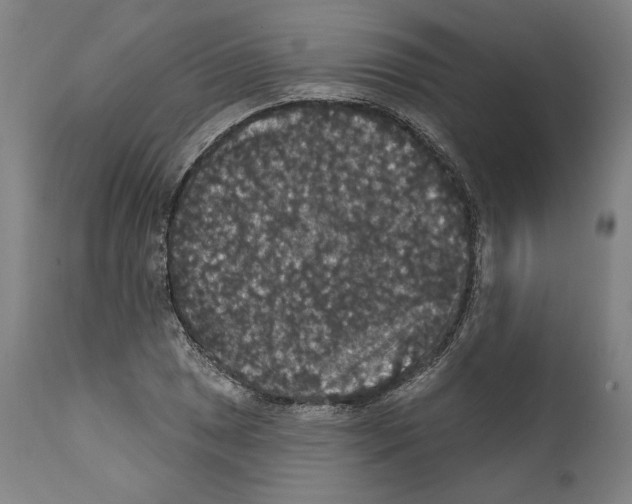 X0000111581025200908271030