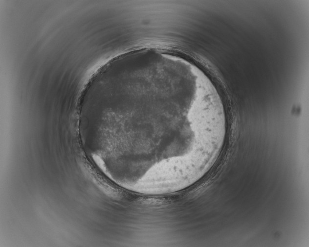 X0000111581027200908271030