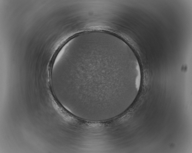 X0000111581031200908271030