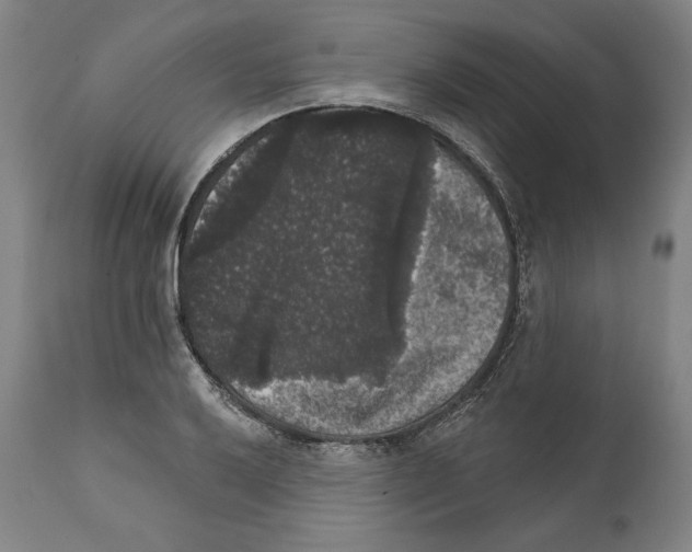 X0000111581032200908271030