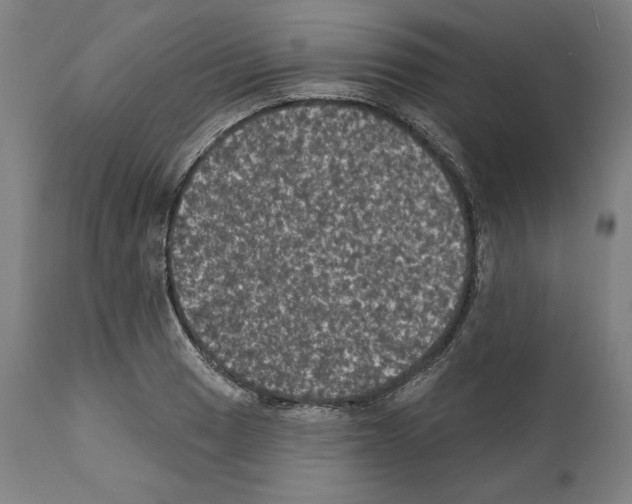 X0000111581033200908271030