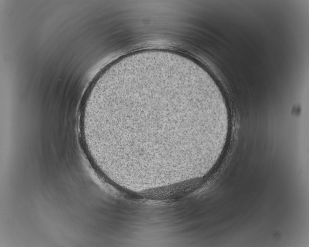 X0000111581034200908271030