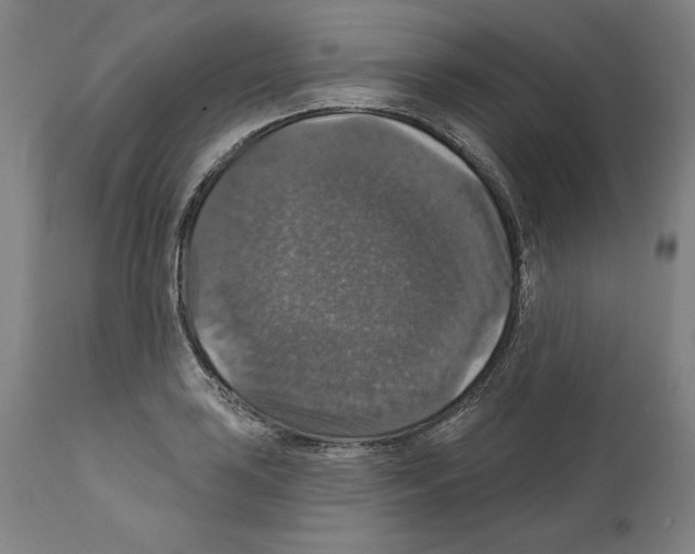 X0000111581035200908271030