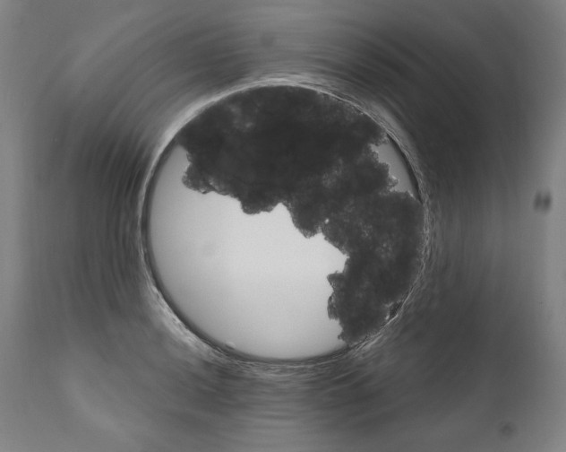 X0000111581036200908271030