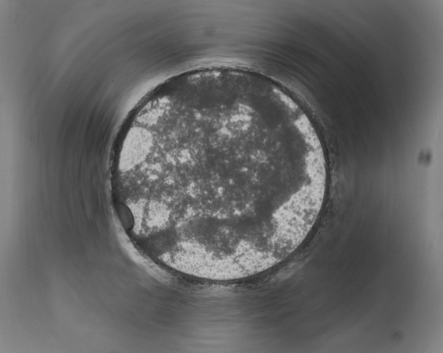 X0000111581038200908271030