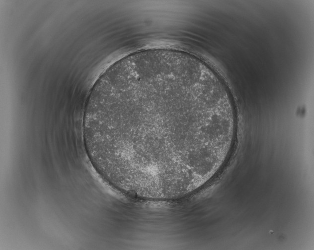 X0000111581041200908271030