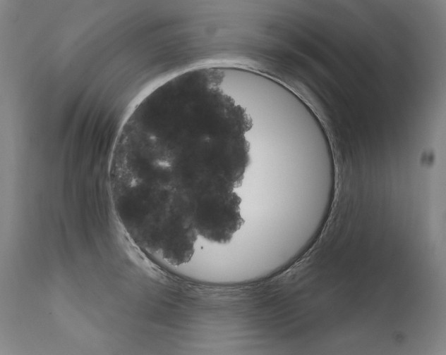 X0000111581044200908271030