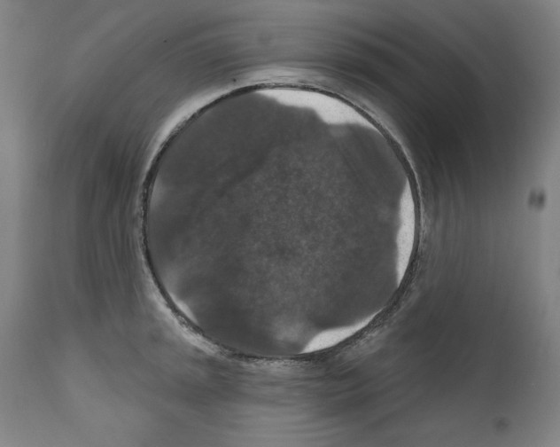 X0000111581045200908271030