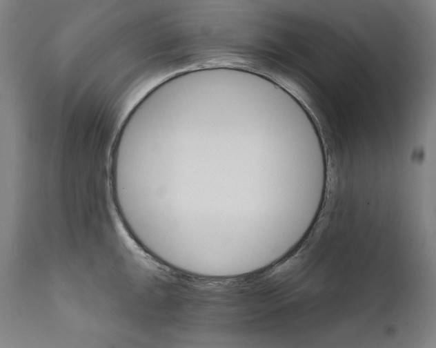 X0000111581047200908271030