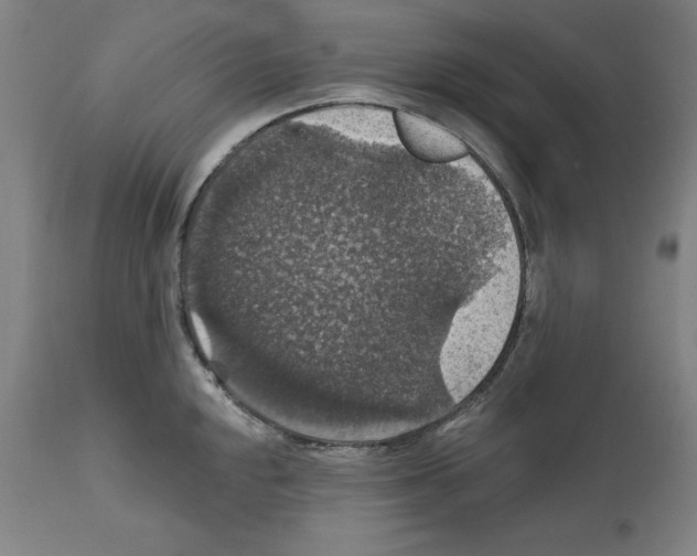 X0000111581048200908271030