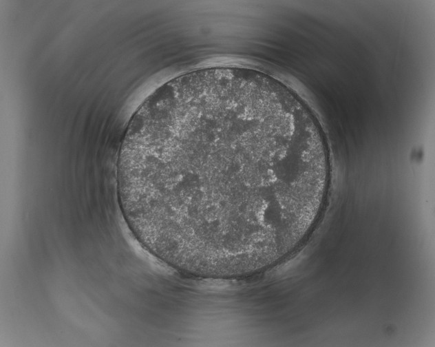 X0000111581049200908271030