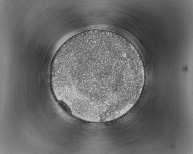 X0000111581050200908271030