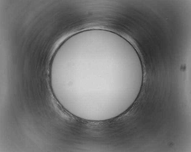 X0000111581051200908271030