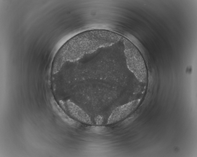 X0000111581052200908271030