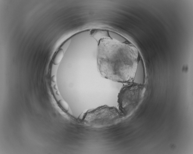 X0000111581053200908271031