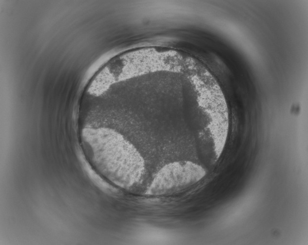 X0000111581054200908271031