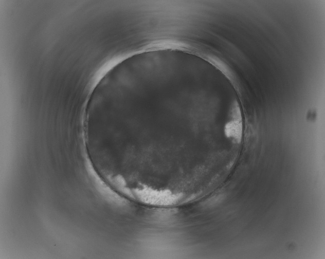 X0000111581055200908271031