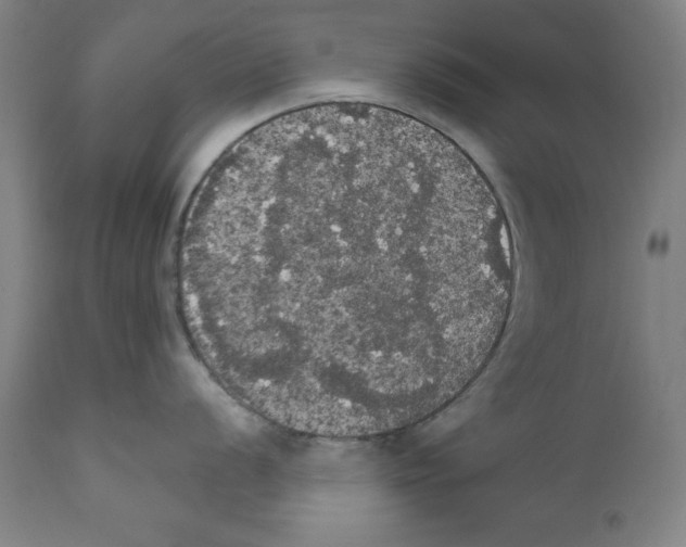 X0000111581056200908271031