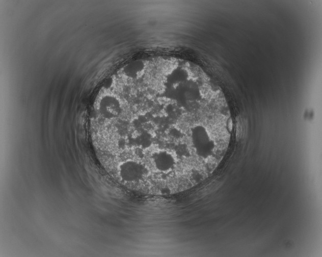 X0000111581059200908271030