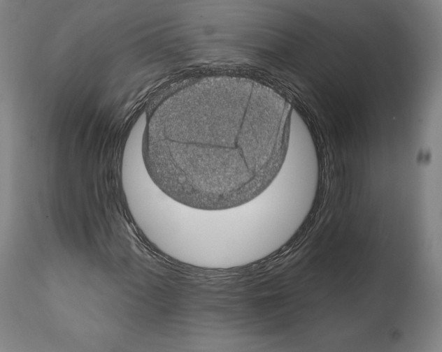 X0000111581060200908271030