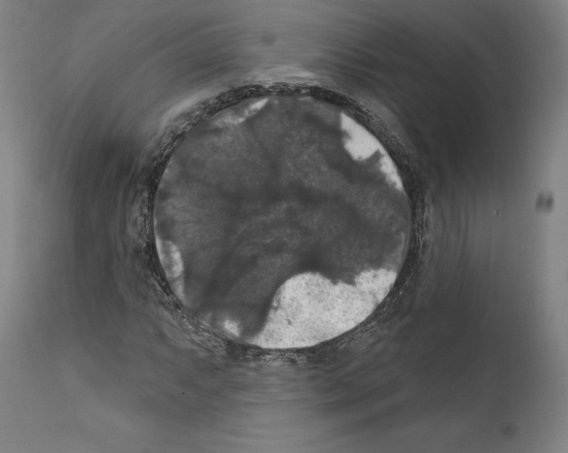 X0000111581063200908271030