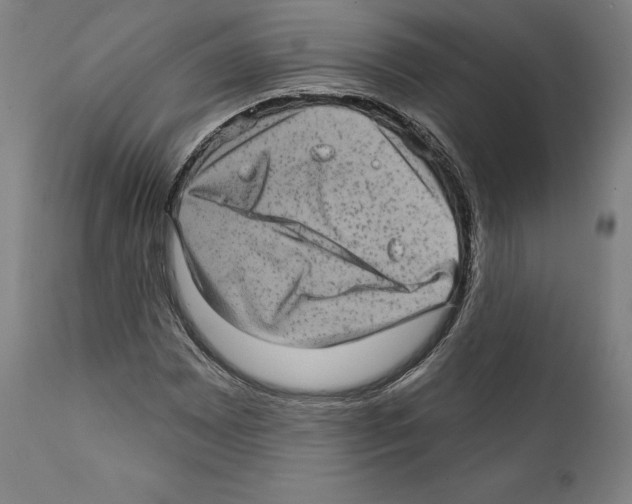 X0000111581065200908271030