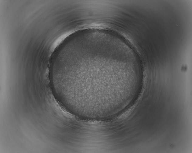 X0000111581066200908271030