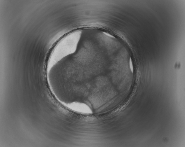 X0000111581071200908271030