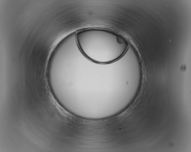 X0000111581072200908271030