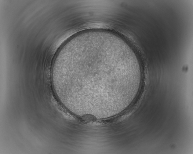 X0000111581073200908271030