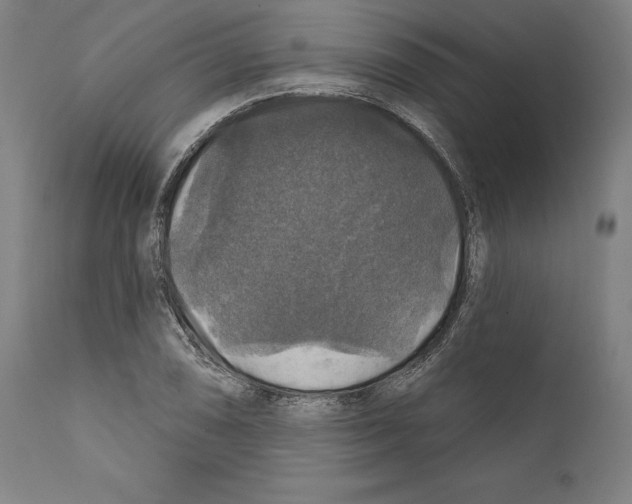 X0000111581074200908271030