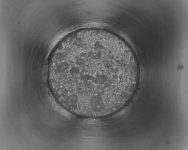 X0000111581075200908271030