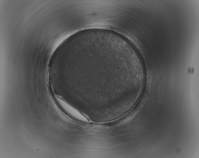 X0000111581077200908271030