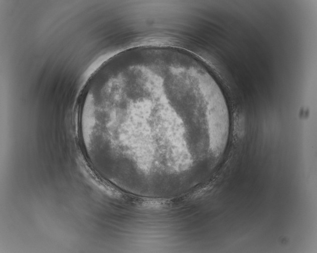 X0000111581078200908271030