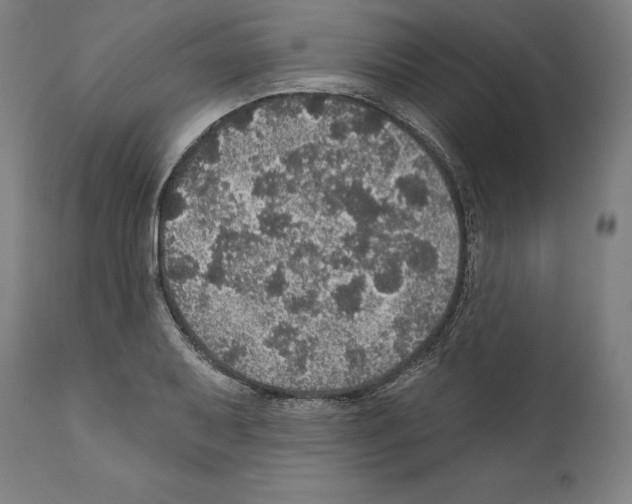 X0000111581079200908271030