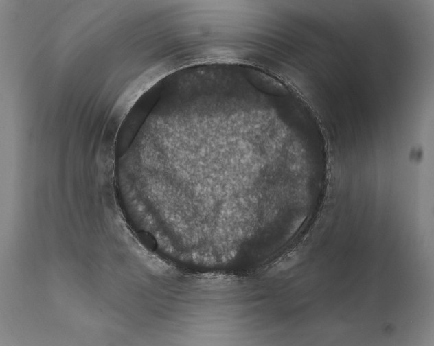 X0000111581081200908271030