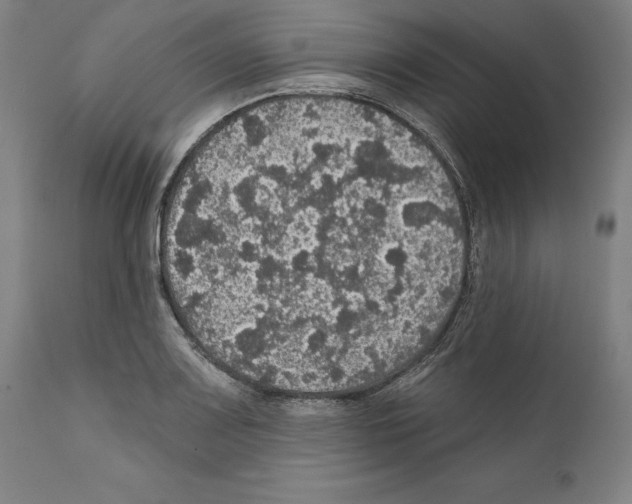 X0000111581083200908271030