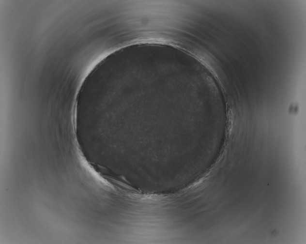 X0000111581084200908271030