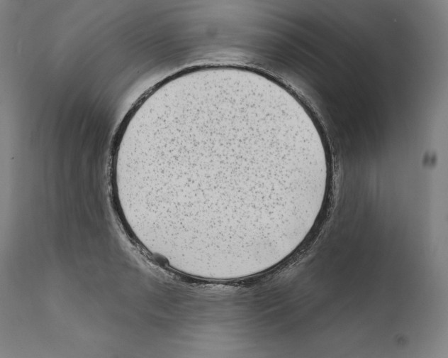 X0000111581085200908271029