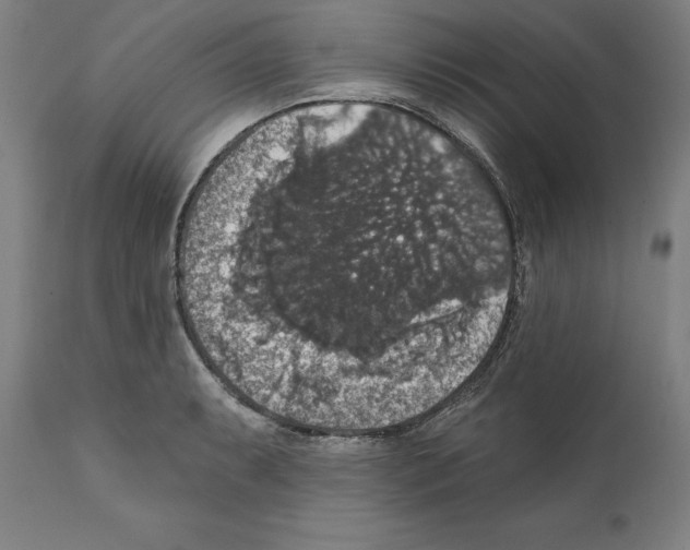 X0000111581087200908271029