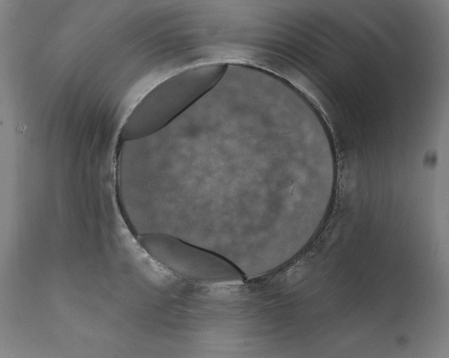 X0000111581088200908271029