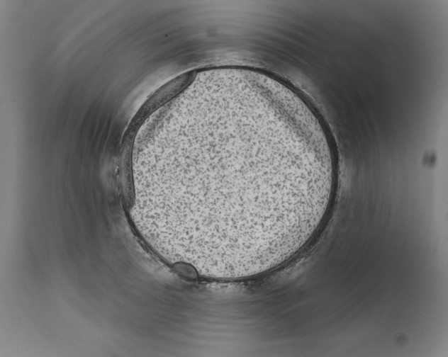 X0000111581089200908271029