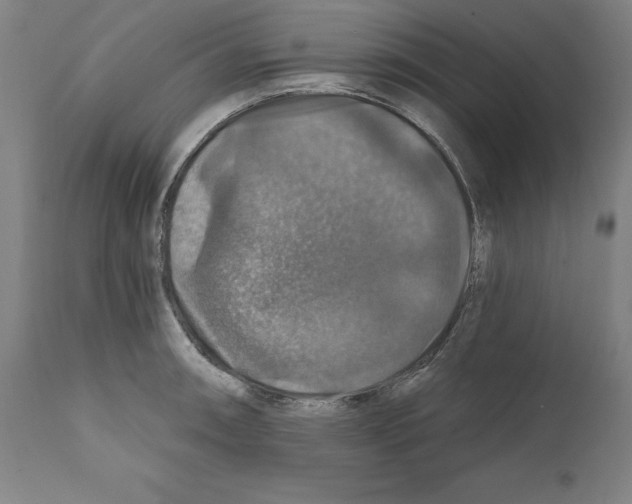 X0000111581090200908271029