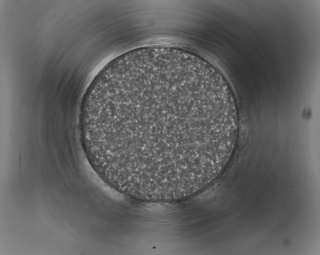 X0000111581091200908271029