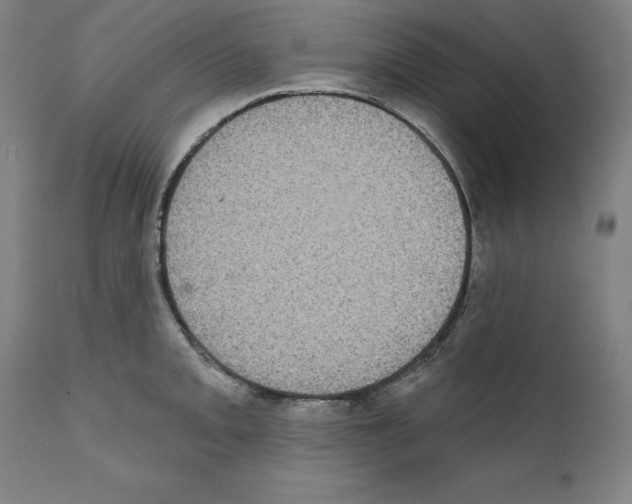 X0000111581093200908271029