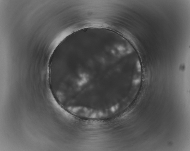 X0000111581095200908271029