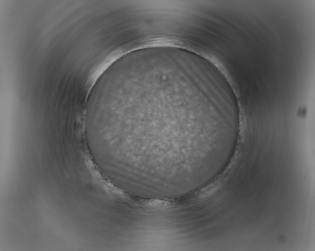 X0000111581097200908271029