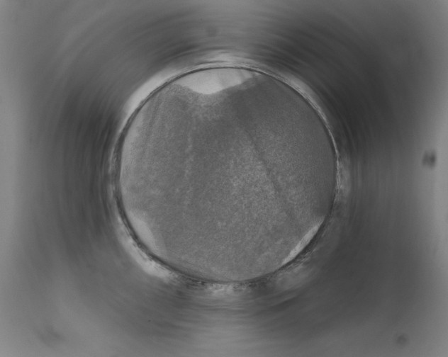 X0000111581098200908271029