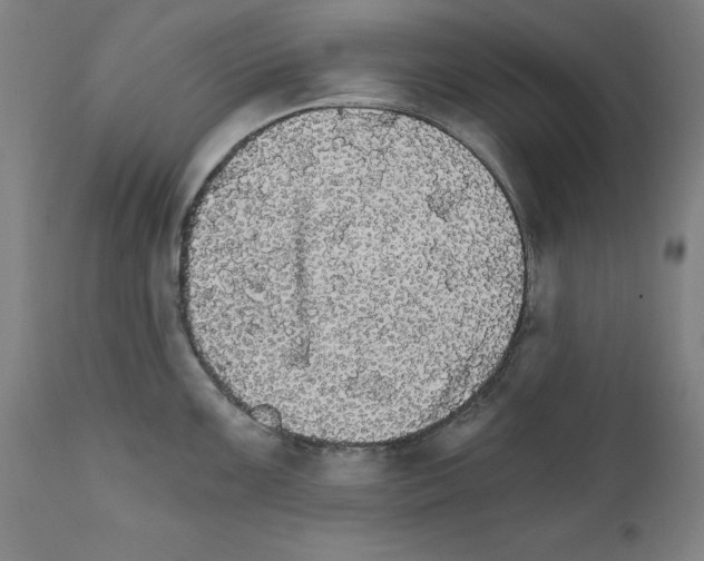 X0000111581099200908271029